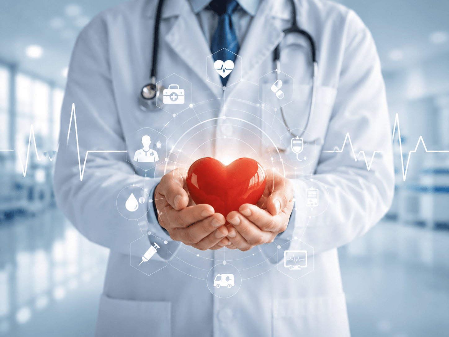 Holding the Heart from the Human Anatomy Abstract collection